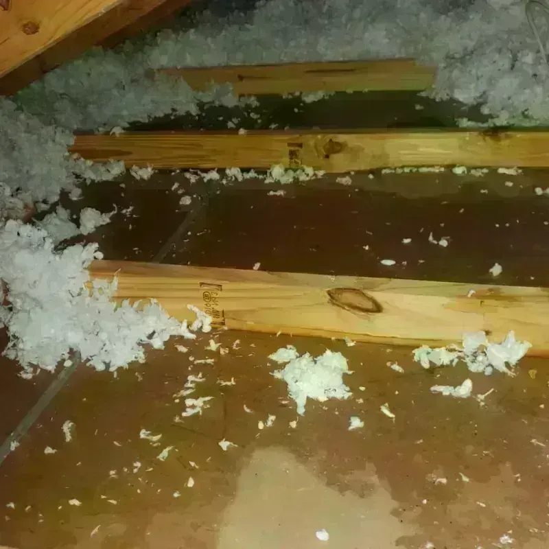 Attic Water Damage in Lebanon, TN