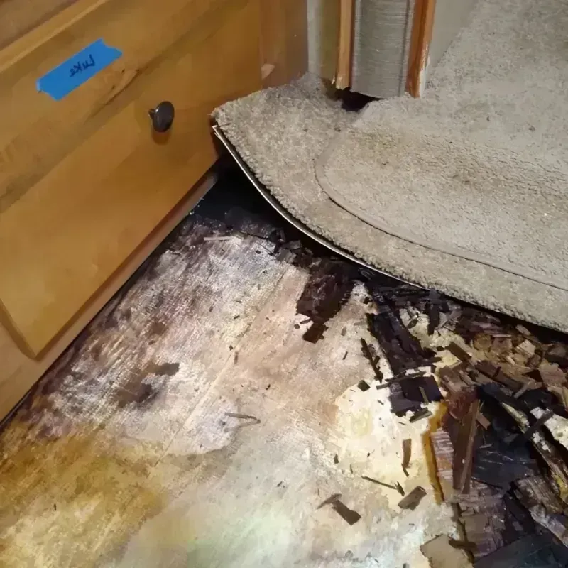 Wood Floor Water Damage in Lebanon, TN